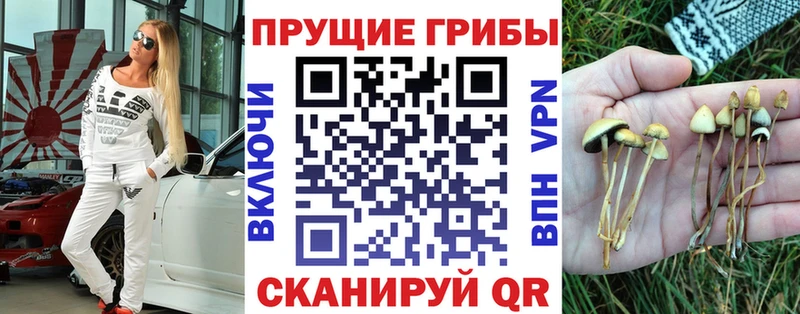 Псилоцибиновые грибы мицелий  Арск 